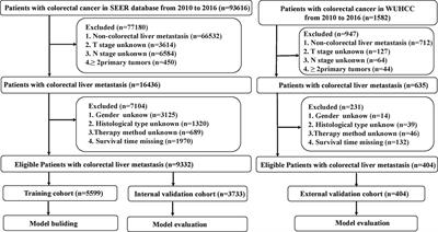 Development and Validation of a Predictive Scoring System for Colorectal Cancer Patients With Liver Metastasis: A Population-Based Study